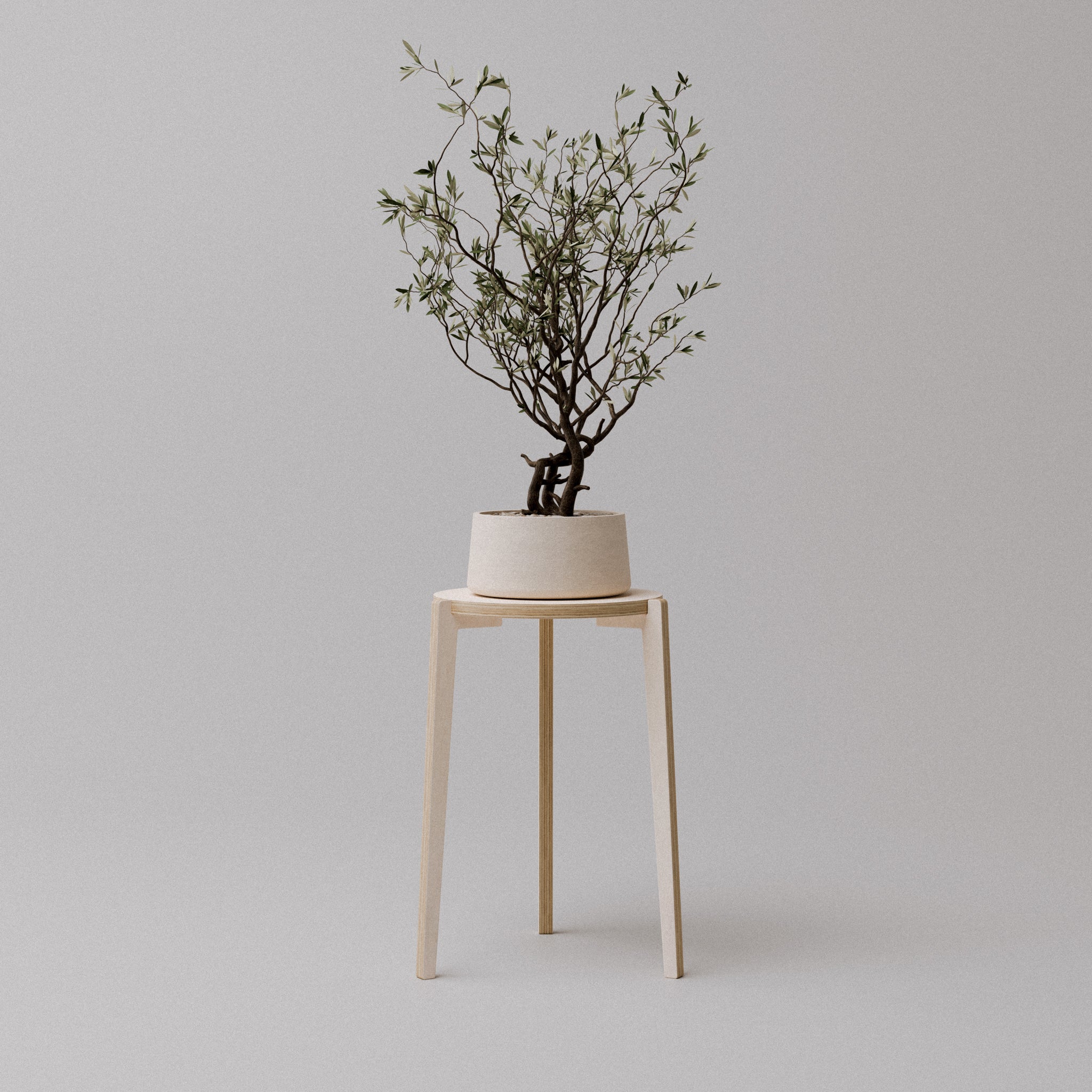 The "Bergen" Plant Stand