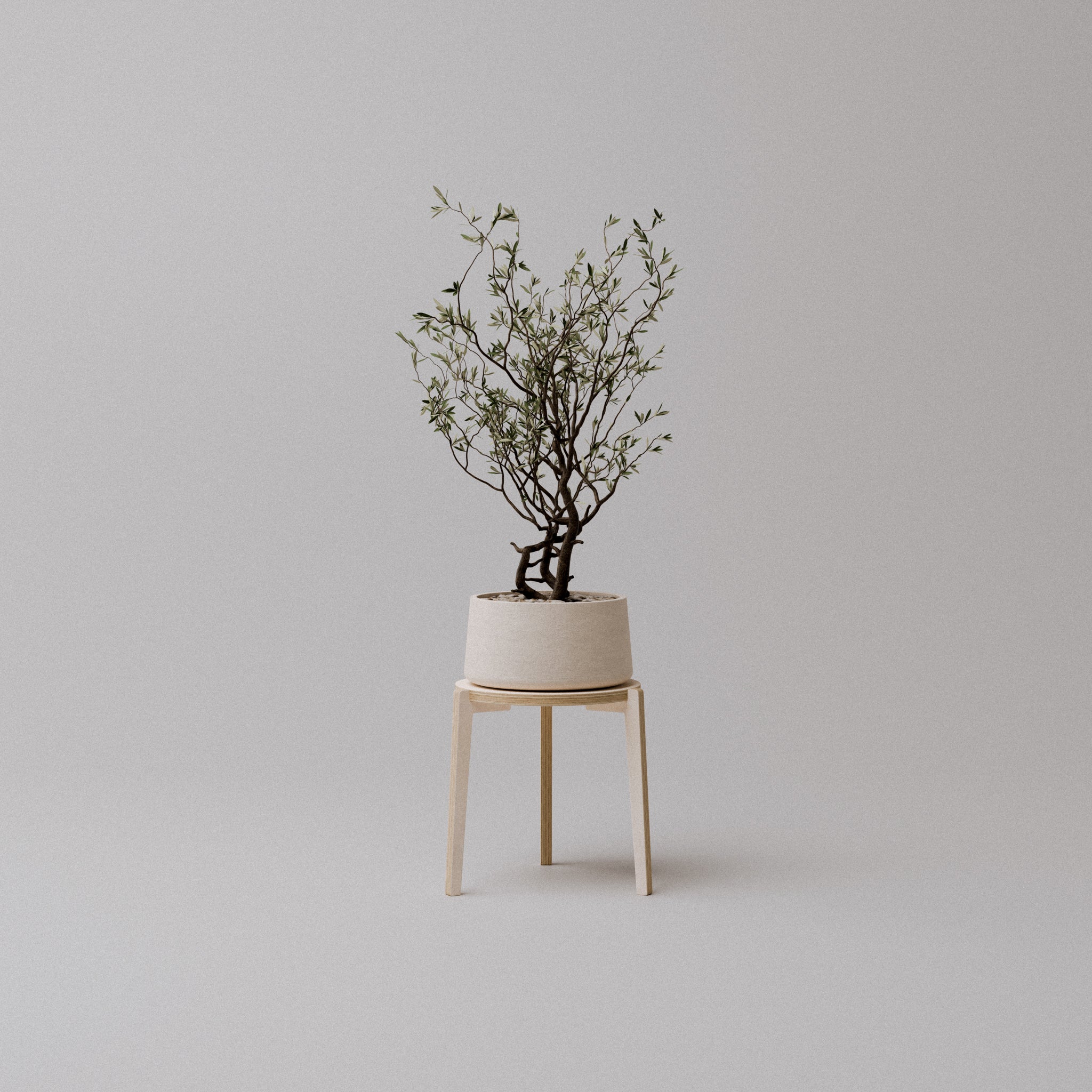 The "Bergen" Plant Stand