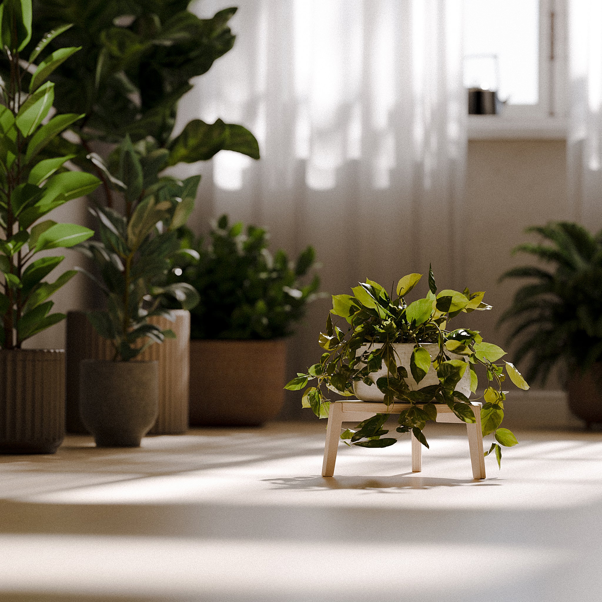 The "Bergen" Plant Stand