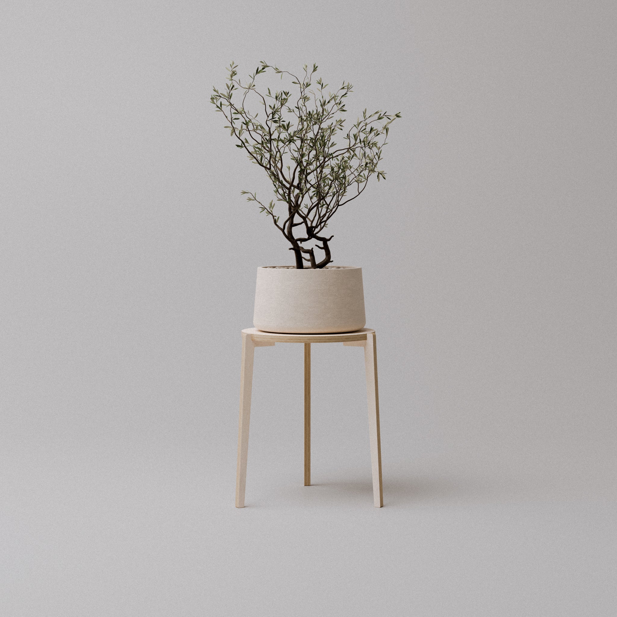 The "Bergen" Plant Stand