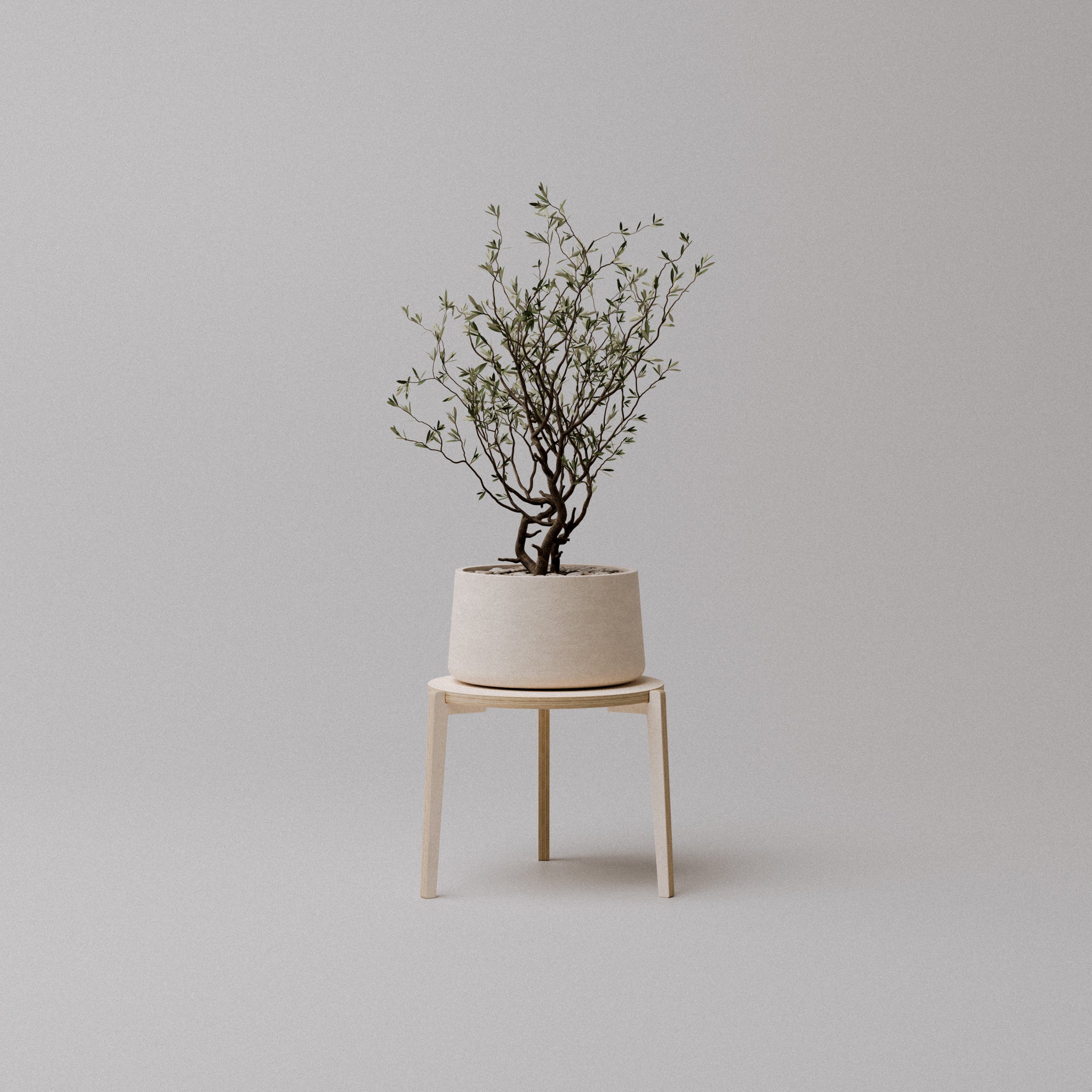 The "Bergen" Plant Stand