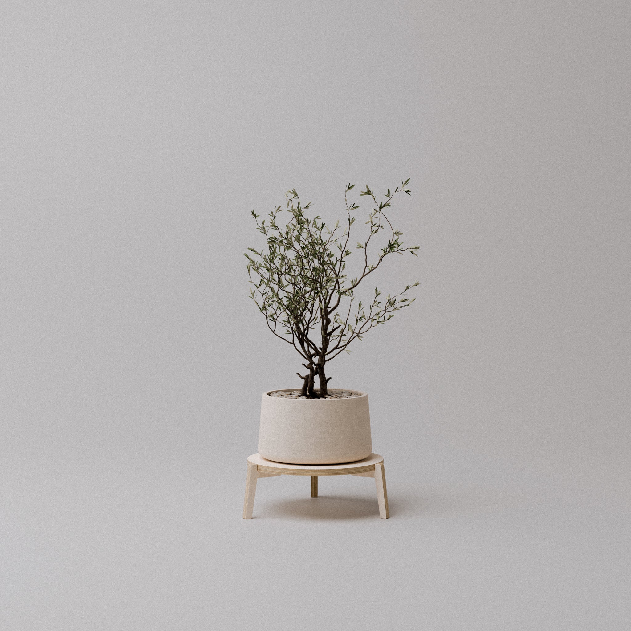 The "Bergen" Plant Stand
