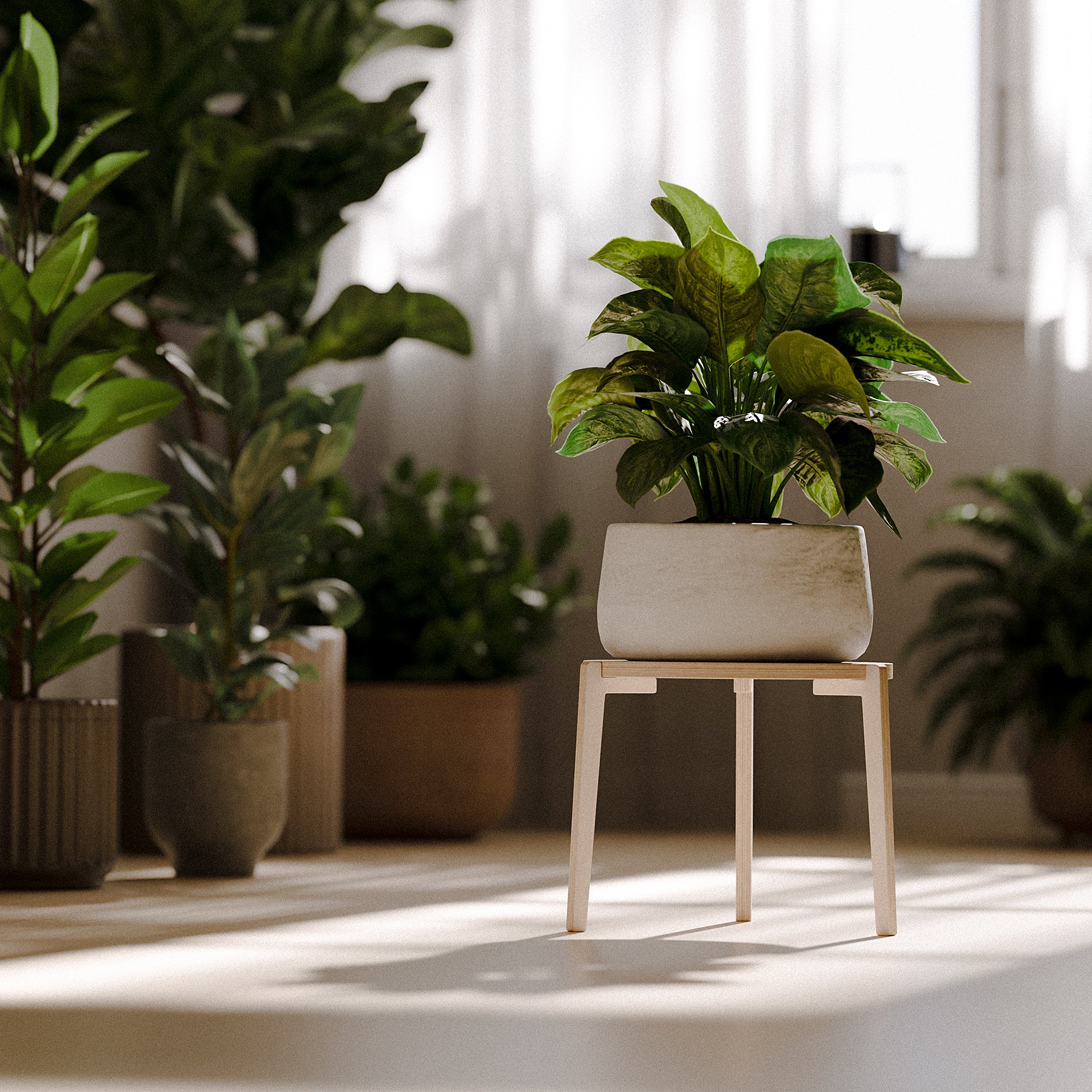 The "Bergen" Plant Stand