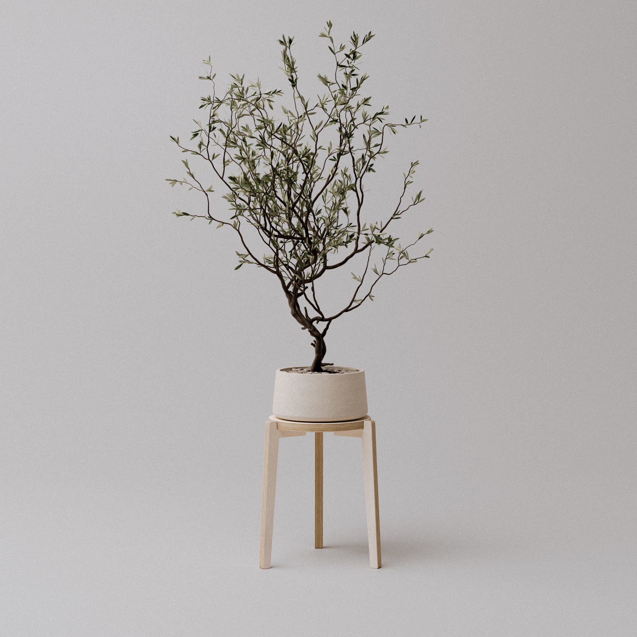 The "Bergen" Plant Stand