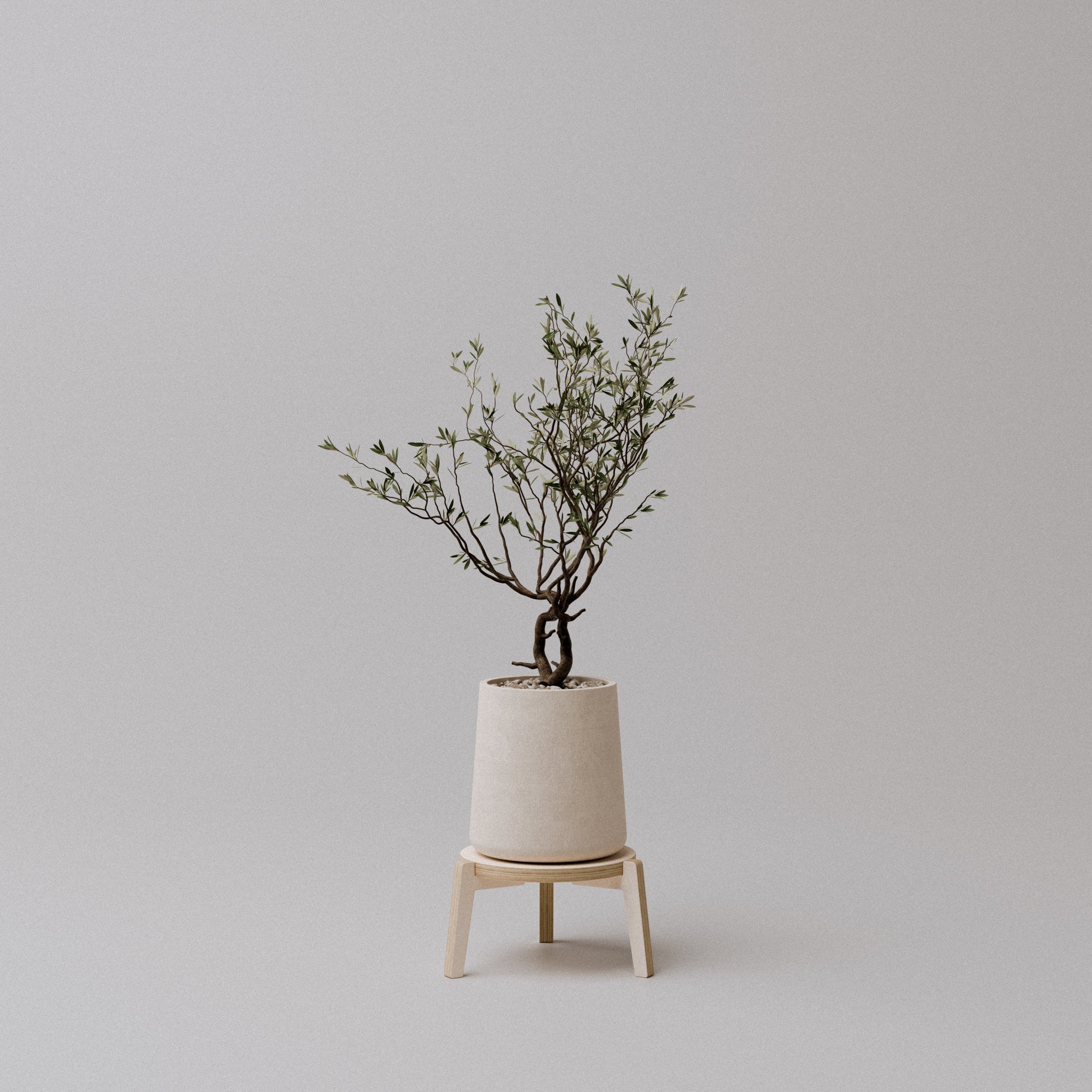 The "Bergen" Plant Stand