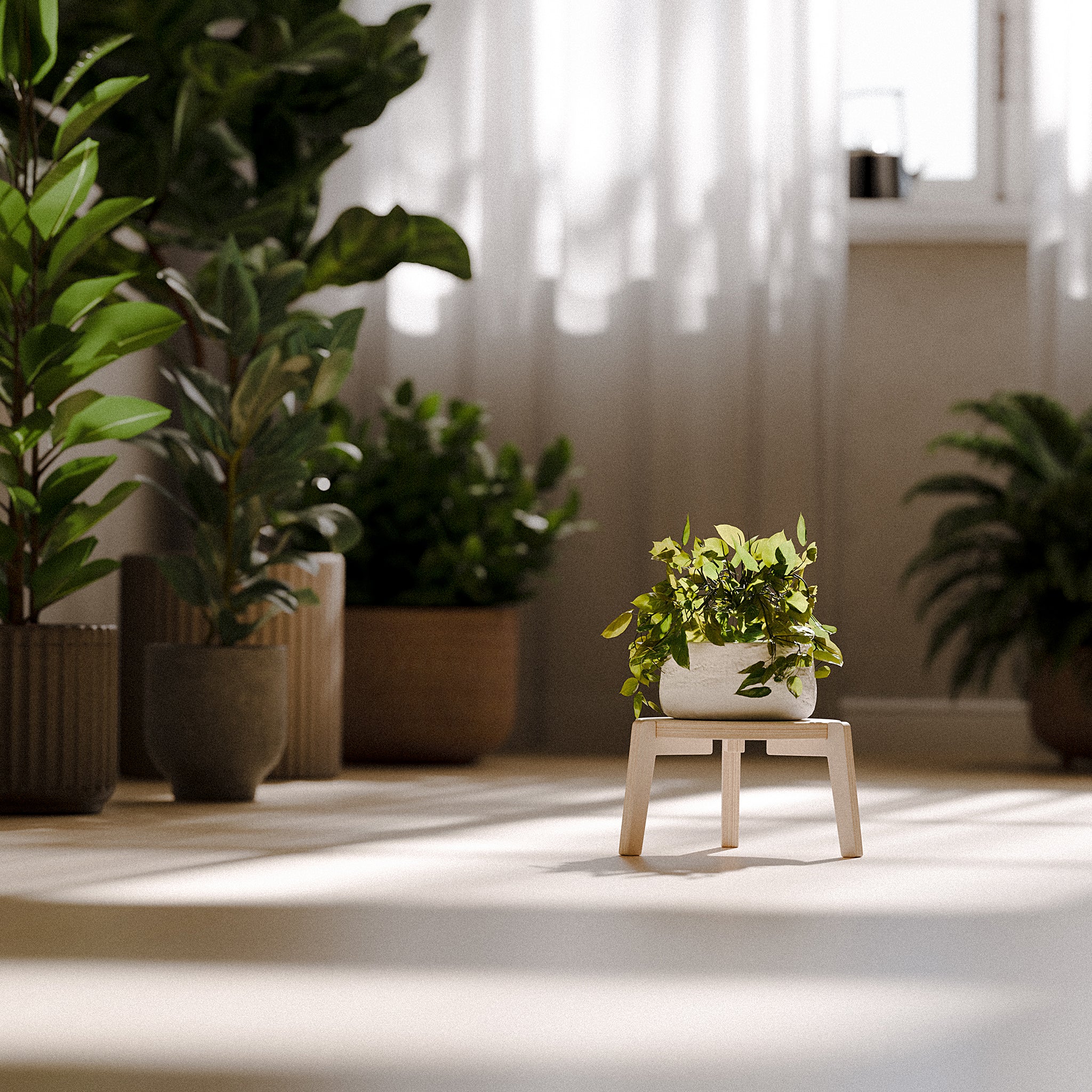 The "Bergen" Plant Stand