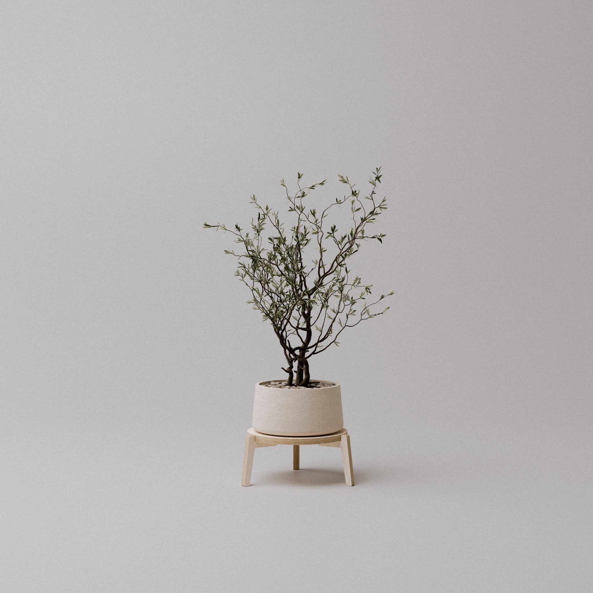 The "Bergen" Plant Stand