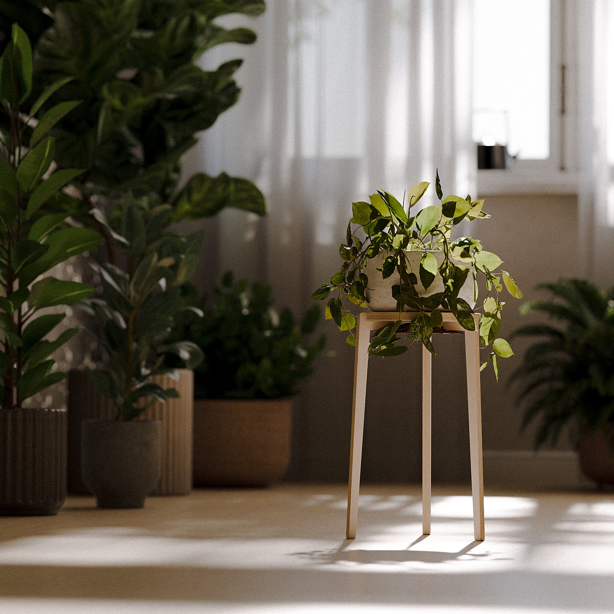 The "Bergen" Plant Stand