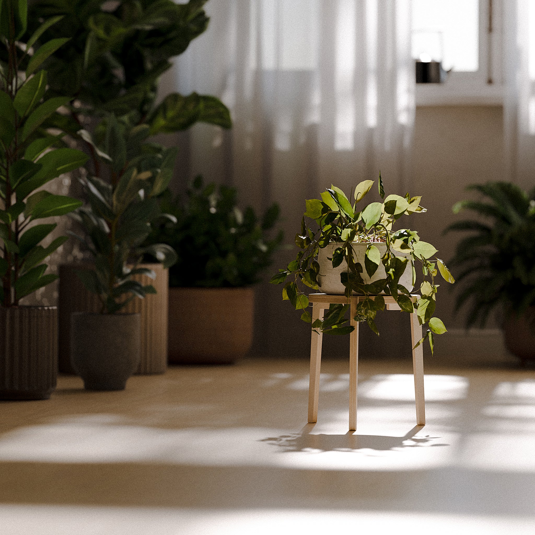 The "Bergen" Plant Stand