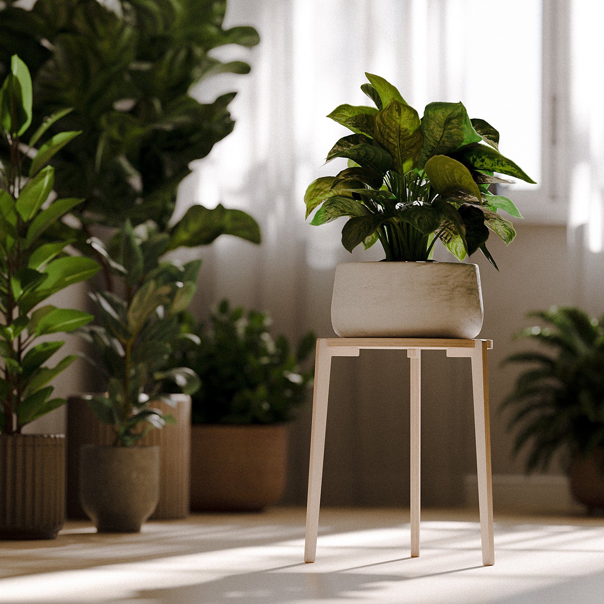 The "Bergen" Plant Stand
