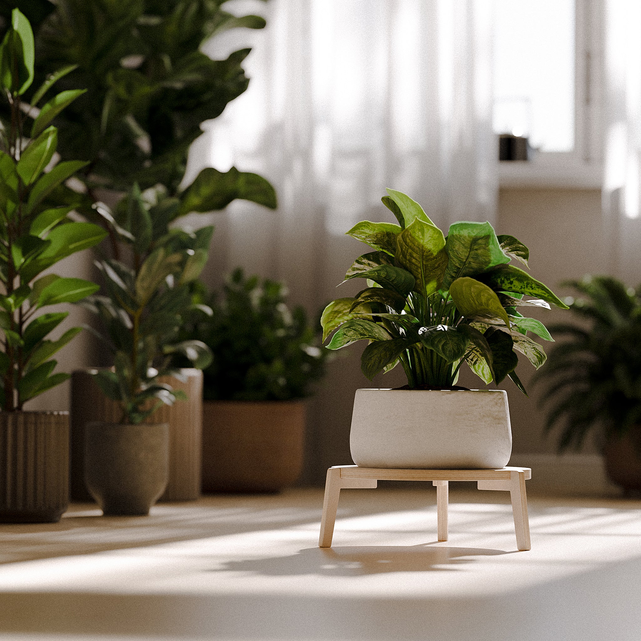 The "Bergen" Plant Stand